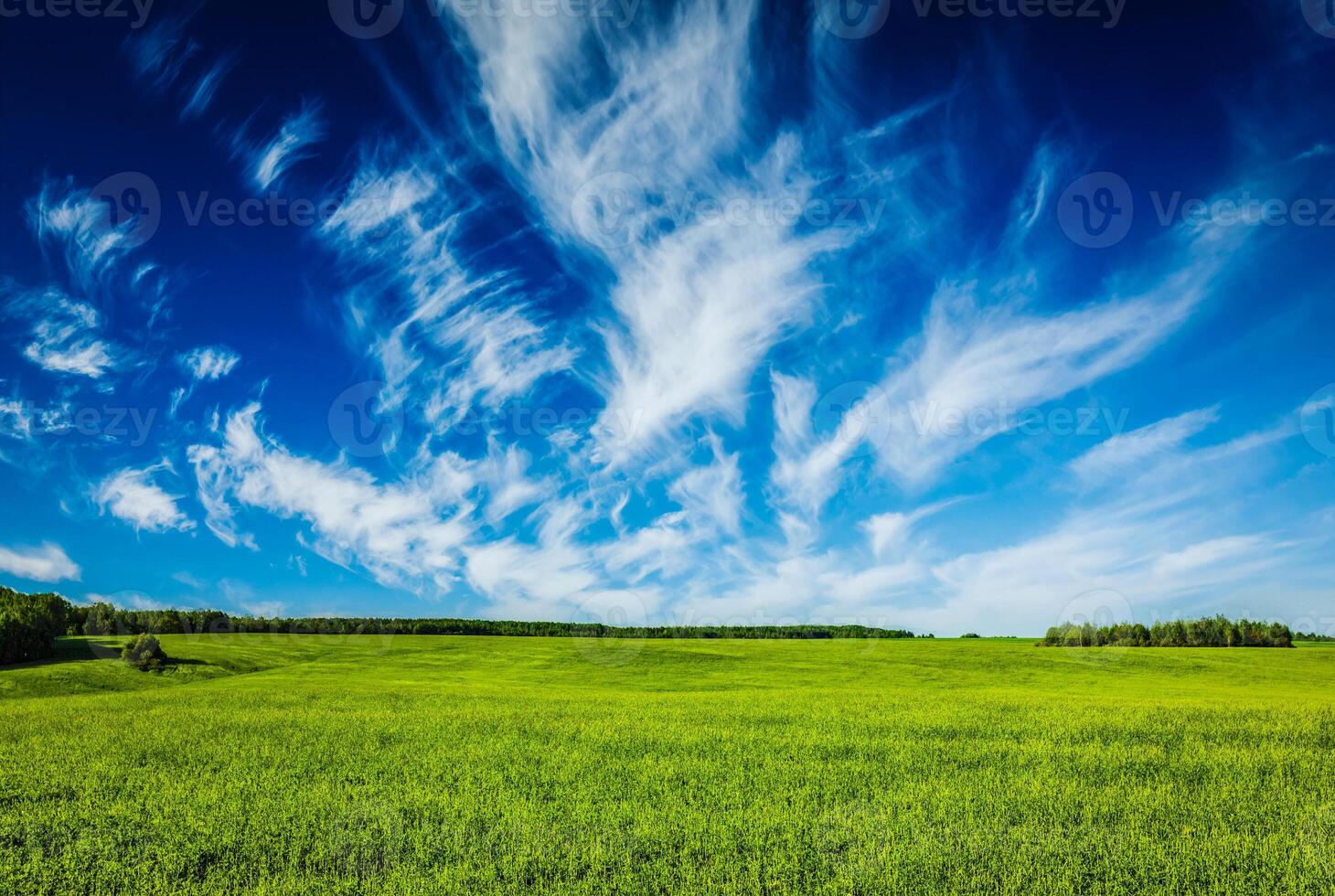 Spring summer green field scenery lanscape photo