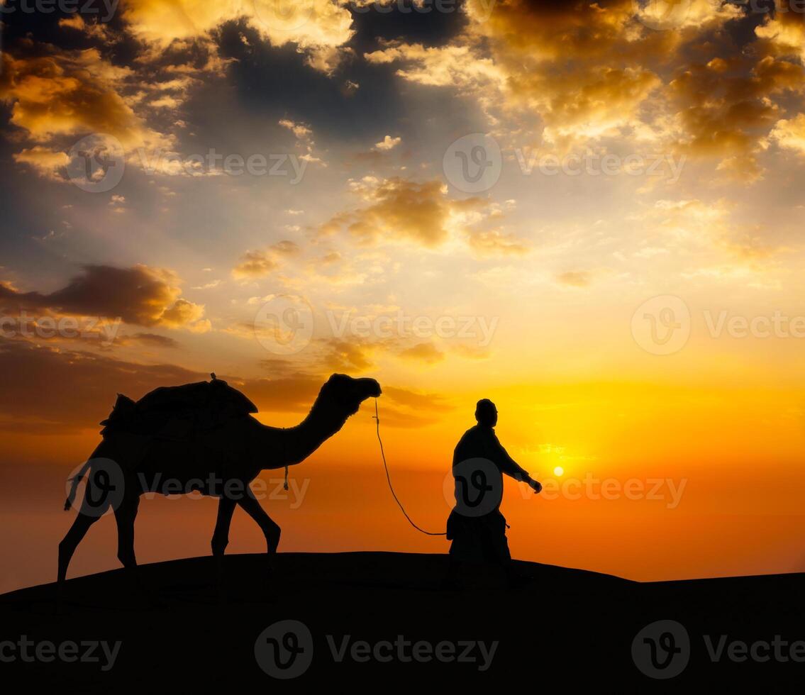 Cameleer camel driver with camels in desert dunes photo