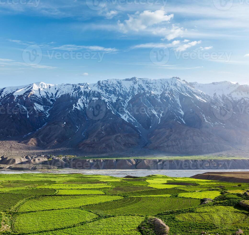 Spiti Valley in Himalayas. Himachal Pradesh, India photo
