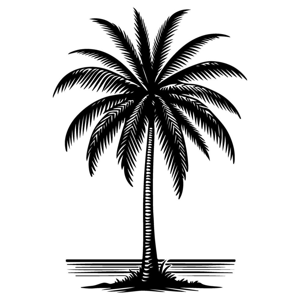 Palm or coconut Tropical tree silhouette, hand drawing black line doodle sketch style vector illustration