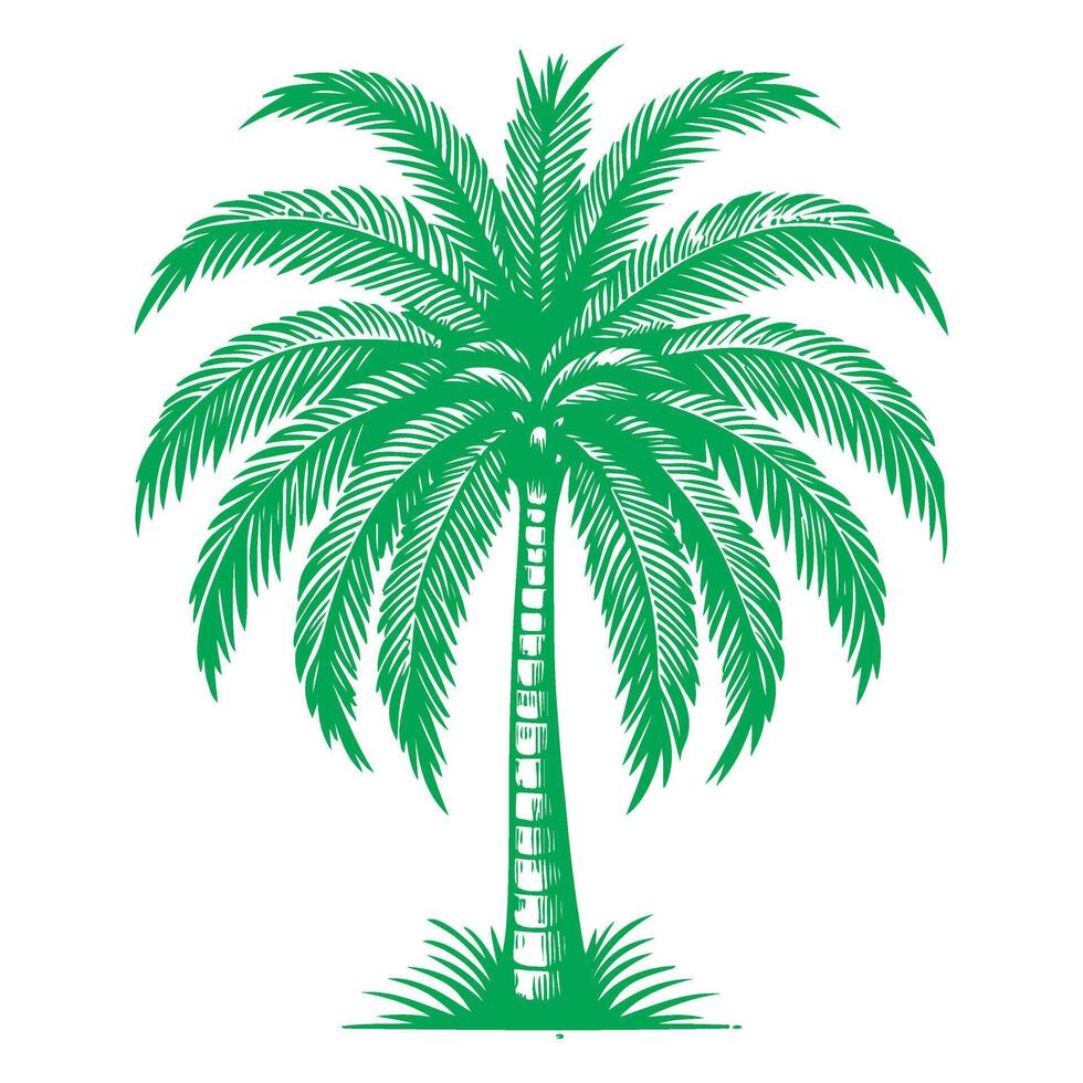 Palm or coconut tree tropical green leaves. hand drawing doodle sketch style vector illustration