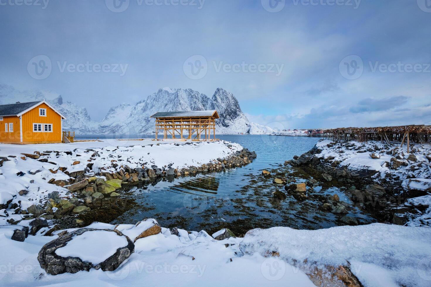 Rorbu house and drying flakes for stockfish cod fish in winter. Lofoten islands, Norway photo