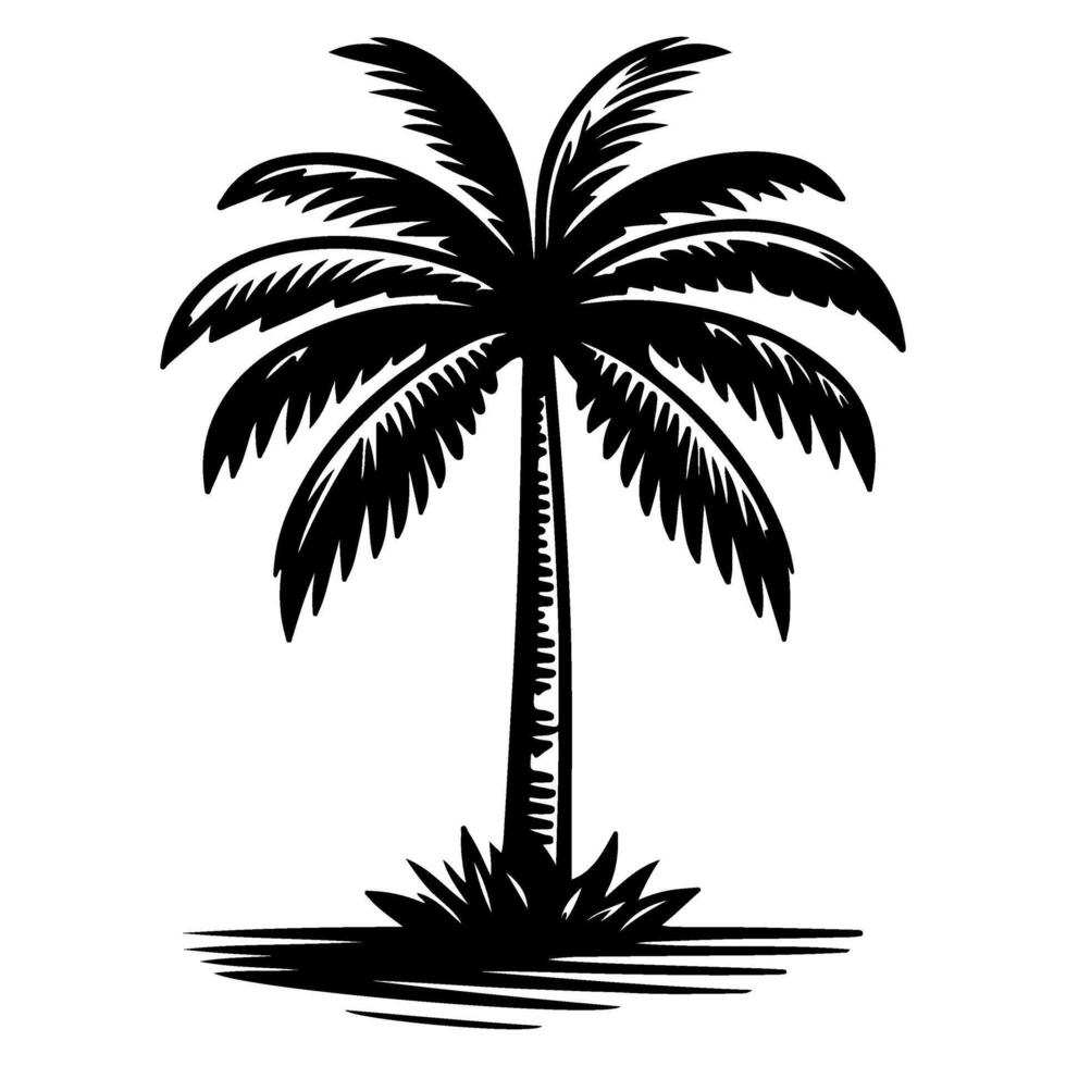 Palm or coconut Tropical tree silhouette, hand drawing black line doodle sketch style vector illustration