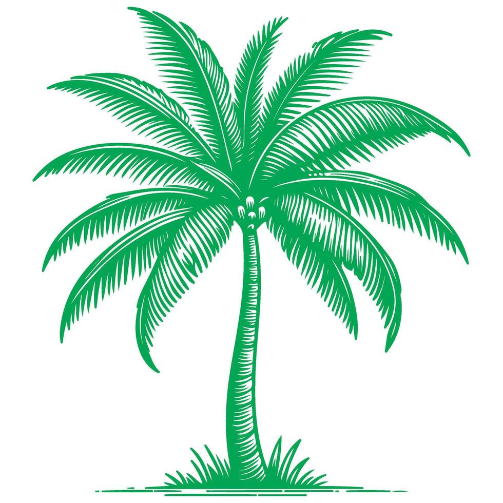 palma o Coco árbol tropical verde hojas. mano dibujo garabatear bosquejo estilo vector ilustración