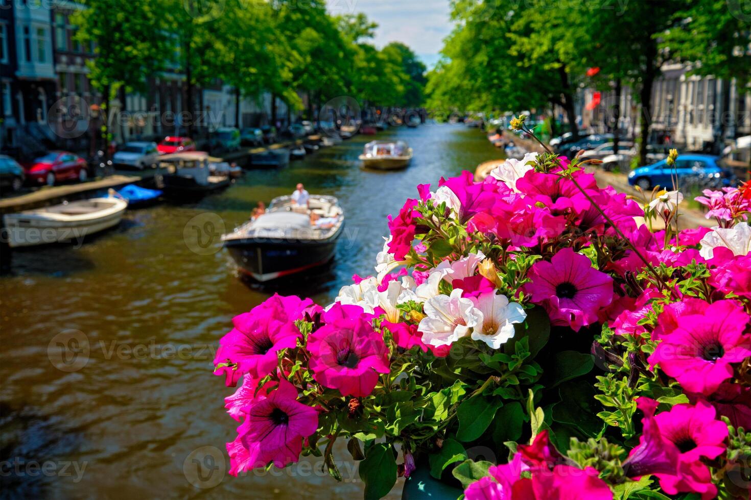 Amsterdam canal and flowers photo