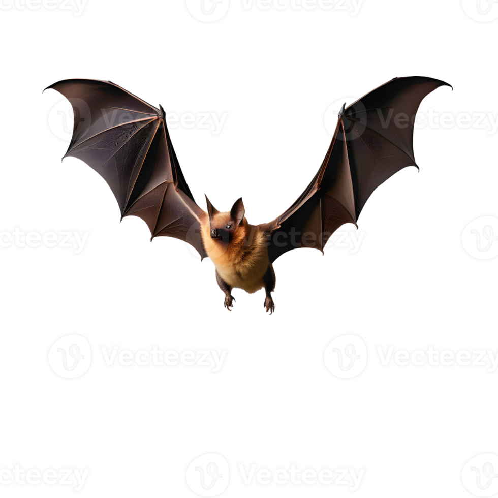 AI generated Flying bat isolated png