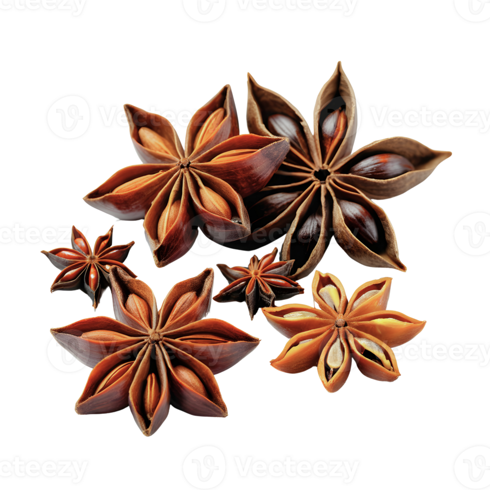 AI generated Star anise spice fruits and seeds isolated png