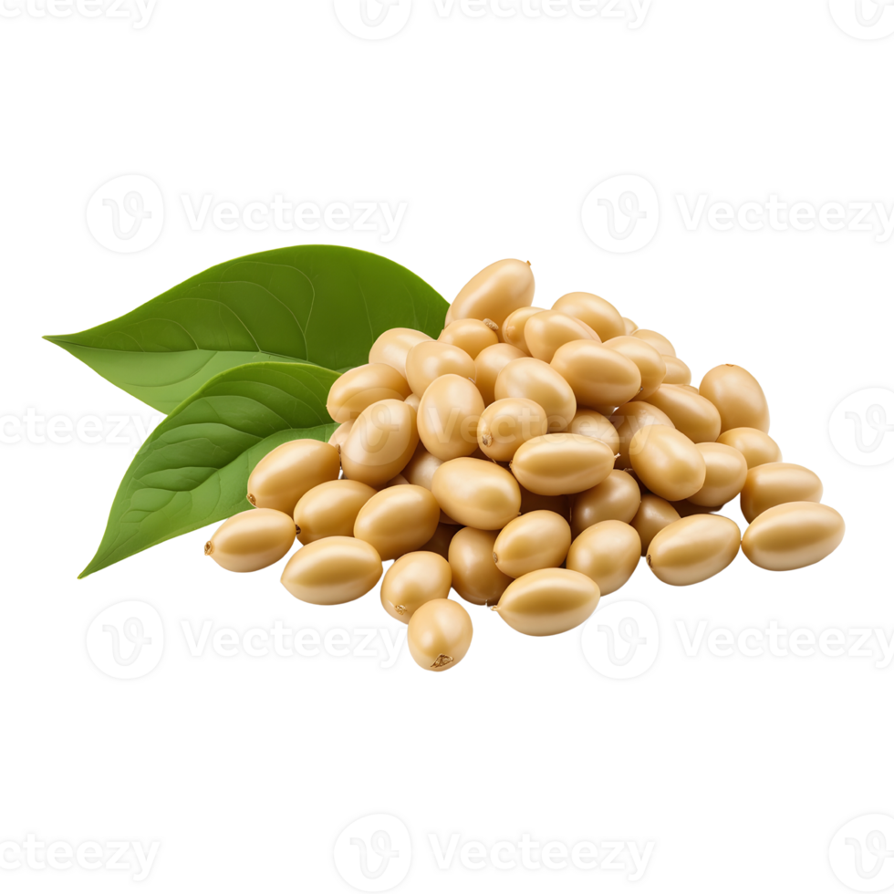 AI generated Soya beans isolated png