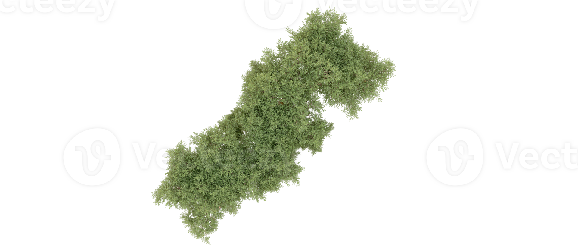Green forest isolated on background. 3d rendering - illustration png
