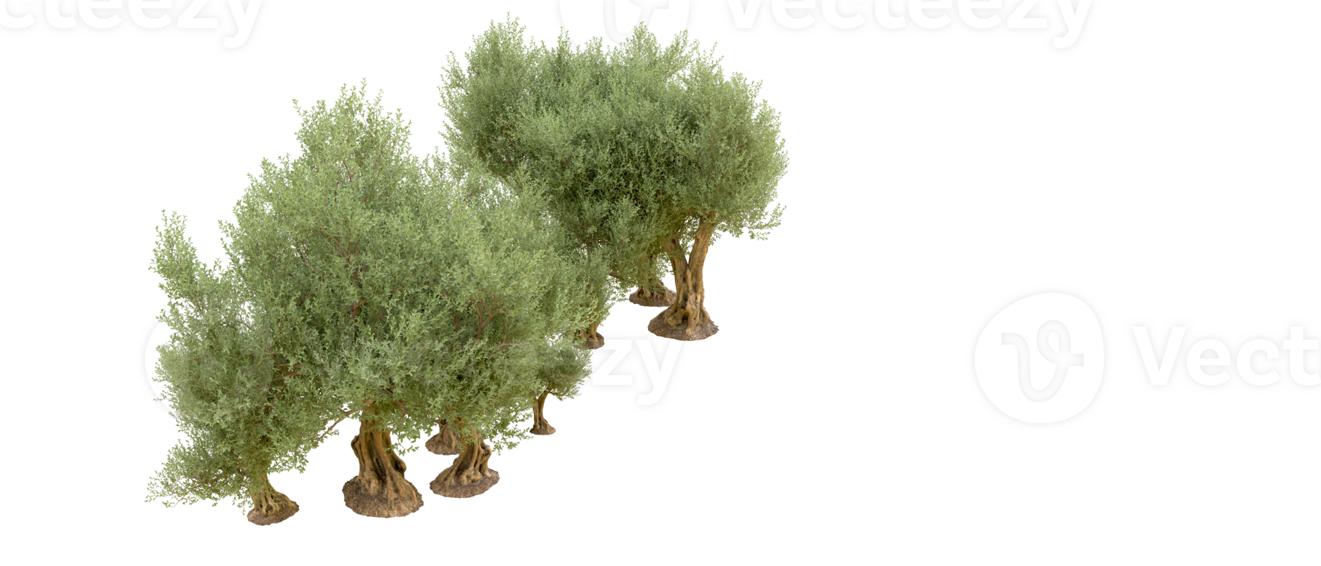 Green forest isolated on background. 3d rendering - illustration png