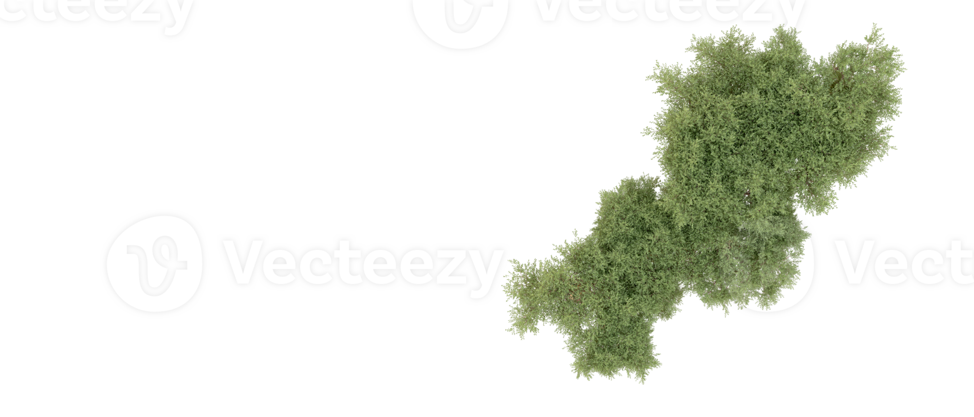 Green forest isolated on background. 3d rendering - illustration png