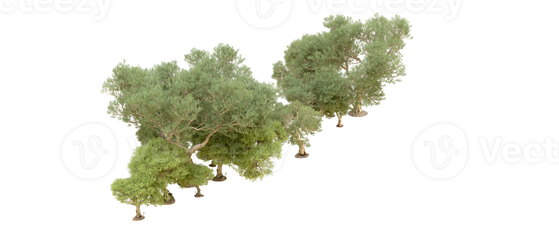 Green forest isolated on background. 3d rendering - illustration png