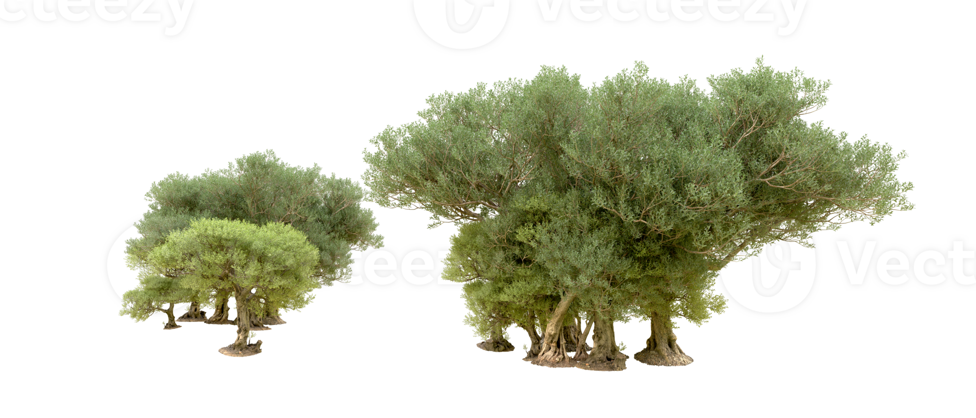 Green forest isolated on background. 3d rendering - illustration png