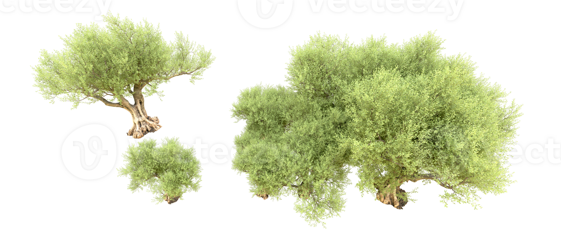 Green forest isolated on background. 3d rendering - illustration png