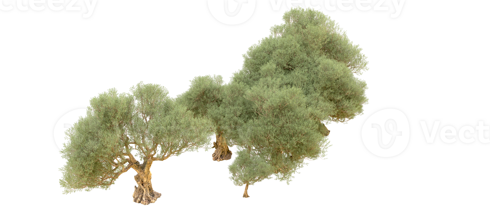 Green forest isolated on background. 3d rendering - illustration png