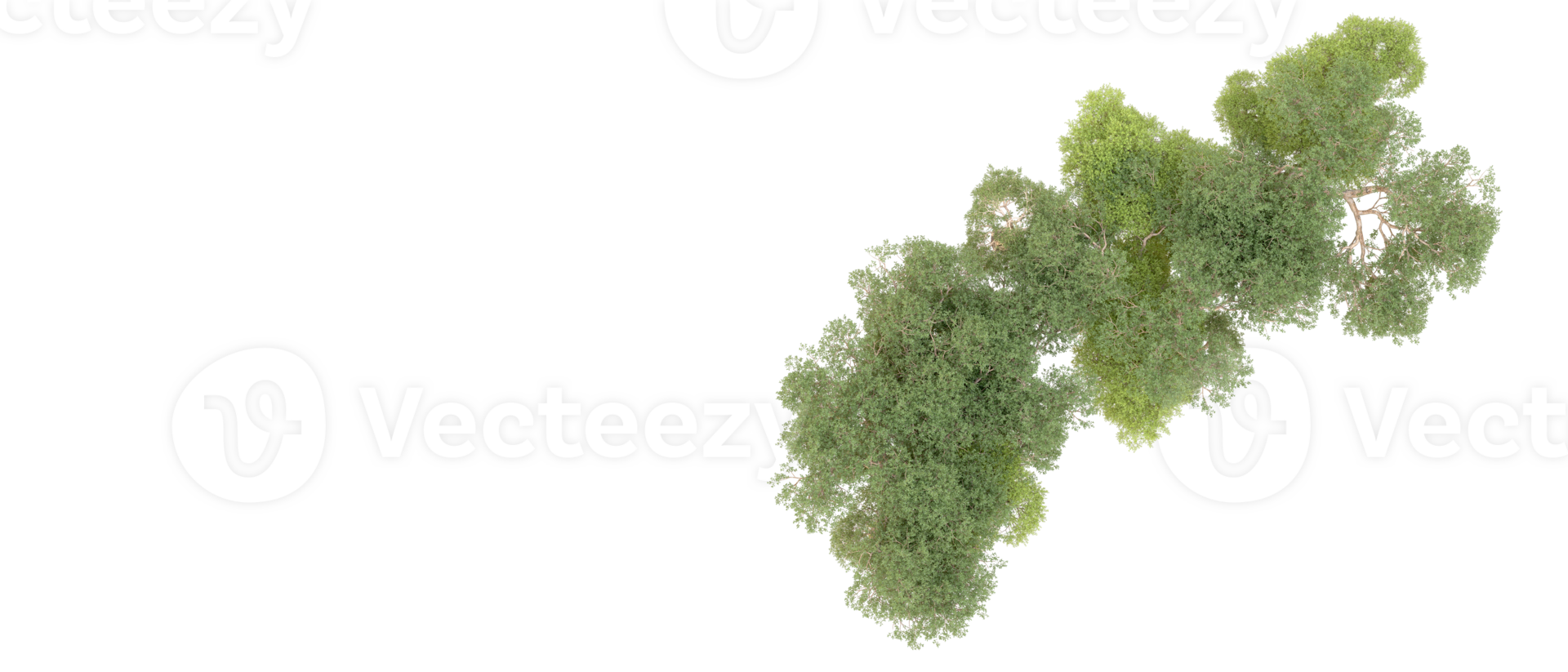 Green forest isolated on background. 3d rendering - illustration png