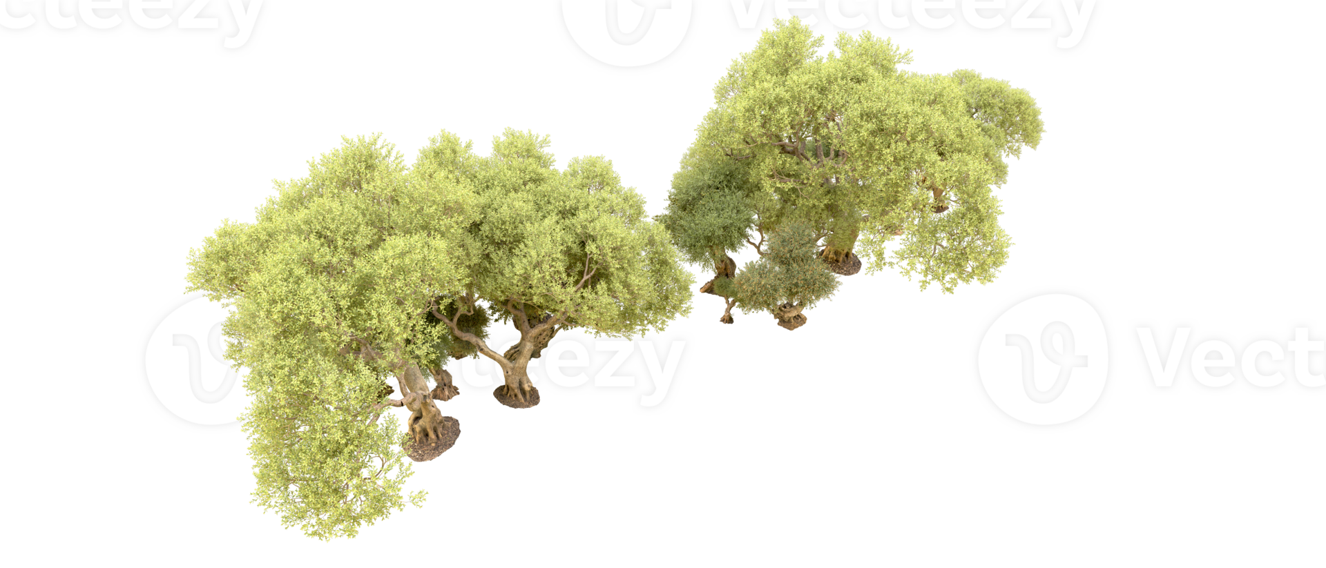 Green forest isolated on background. 3d rendering - illustration png