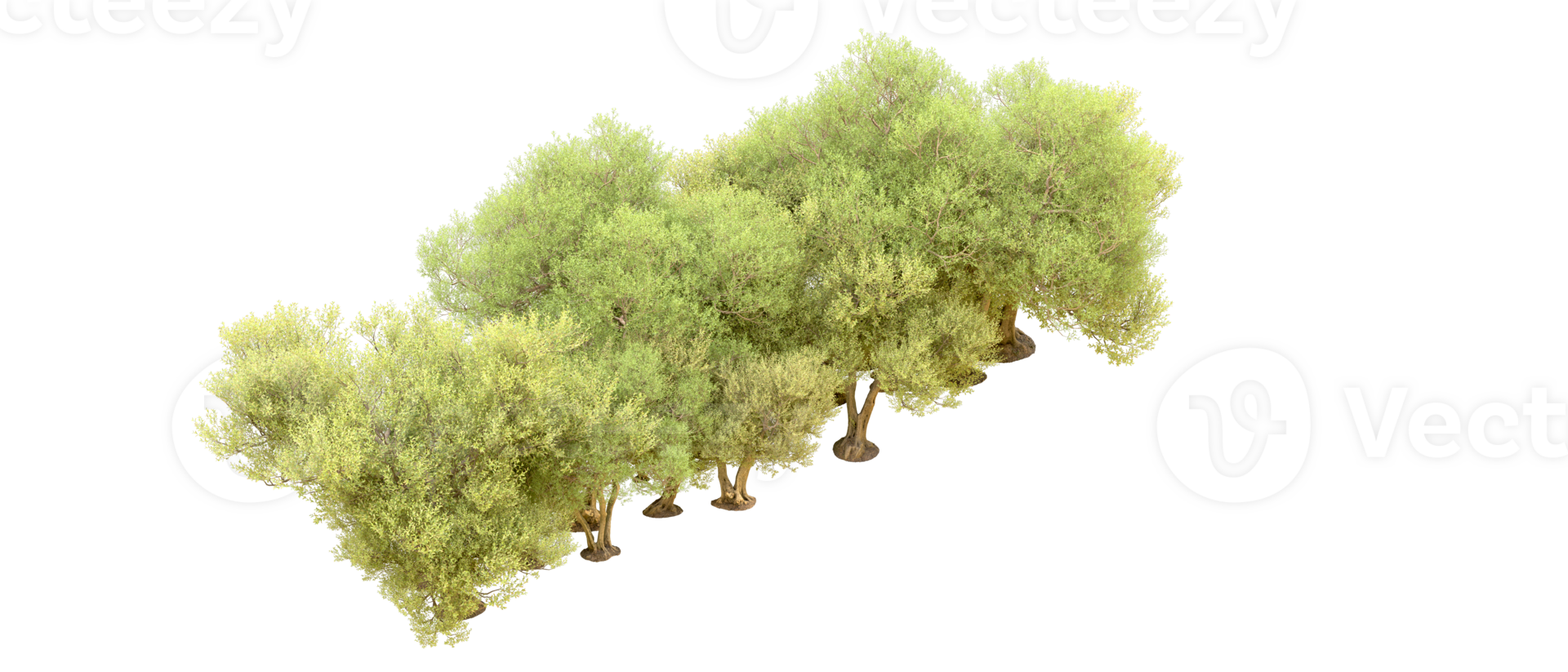 Green forest isolated on background. 3d rendering - illustration png