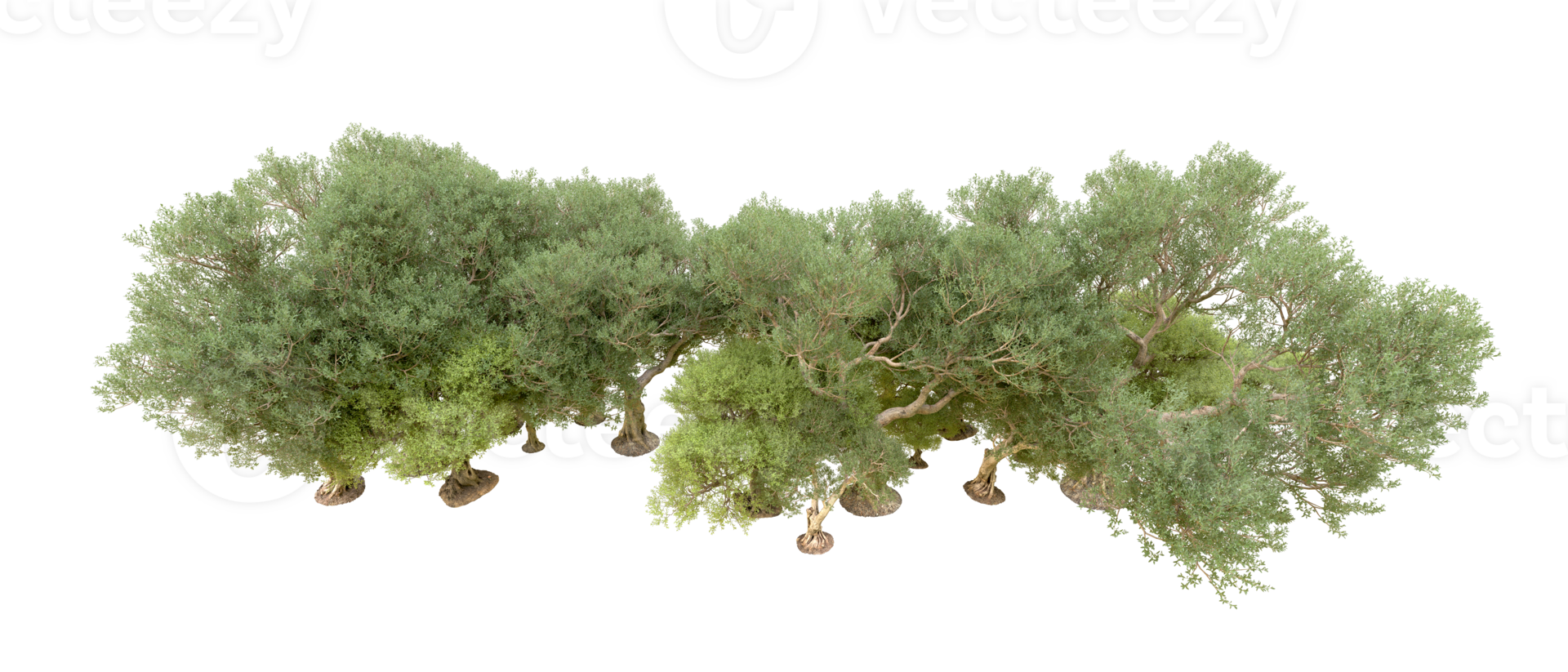 verde bosque aislado en antecedentes. 3d representación - ilustración png