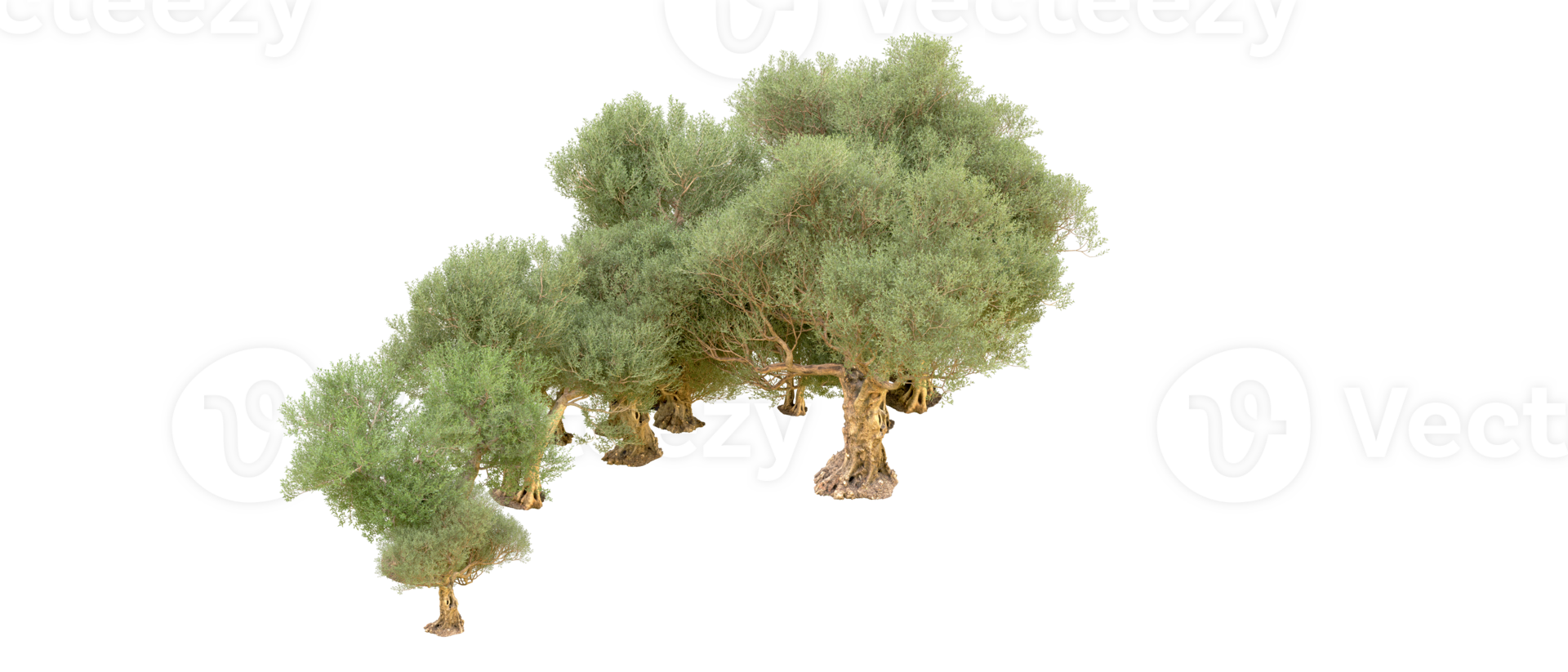 Green forest isolated on background. 3d rendering - illustration png