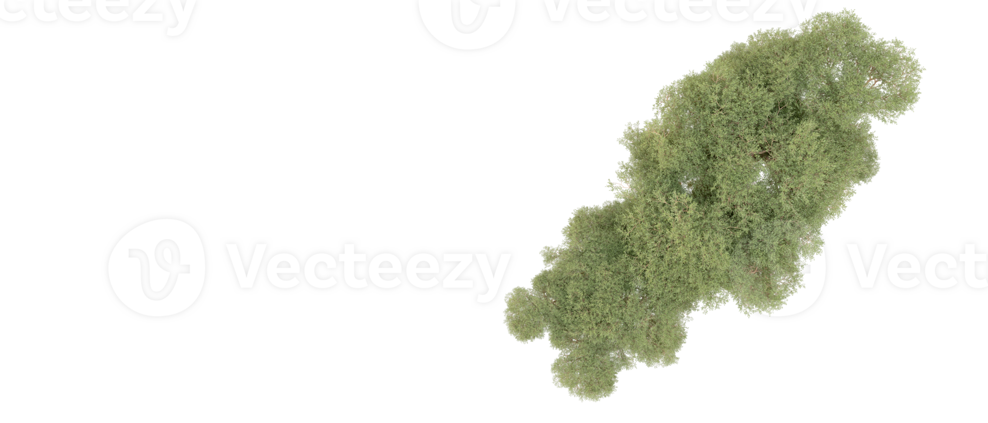 Green forest isolated on background. 3d rendering - illustration png