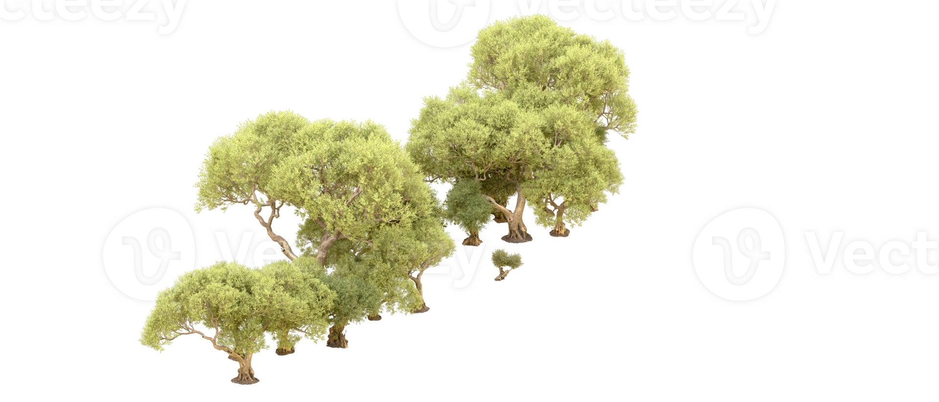 Green forest isolated on background. 3d rendering - illustration png