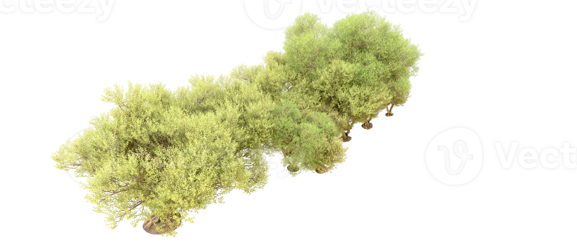 Green forest isolated on background. 3d rendering - illustration png