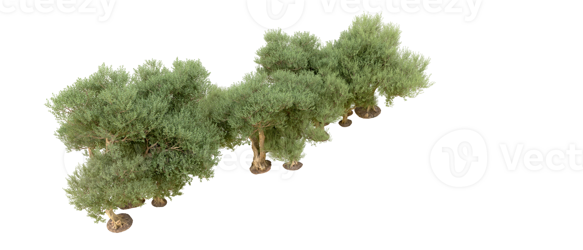 Green forest isolated on background. 3d rendering - illustration png