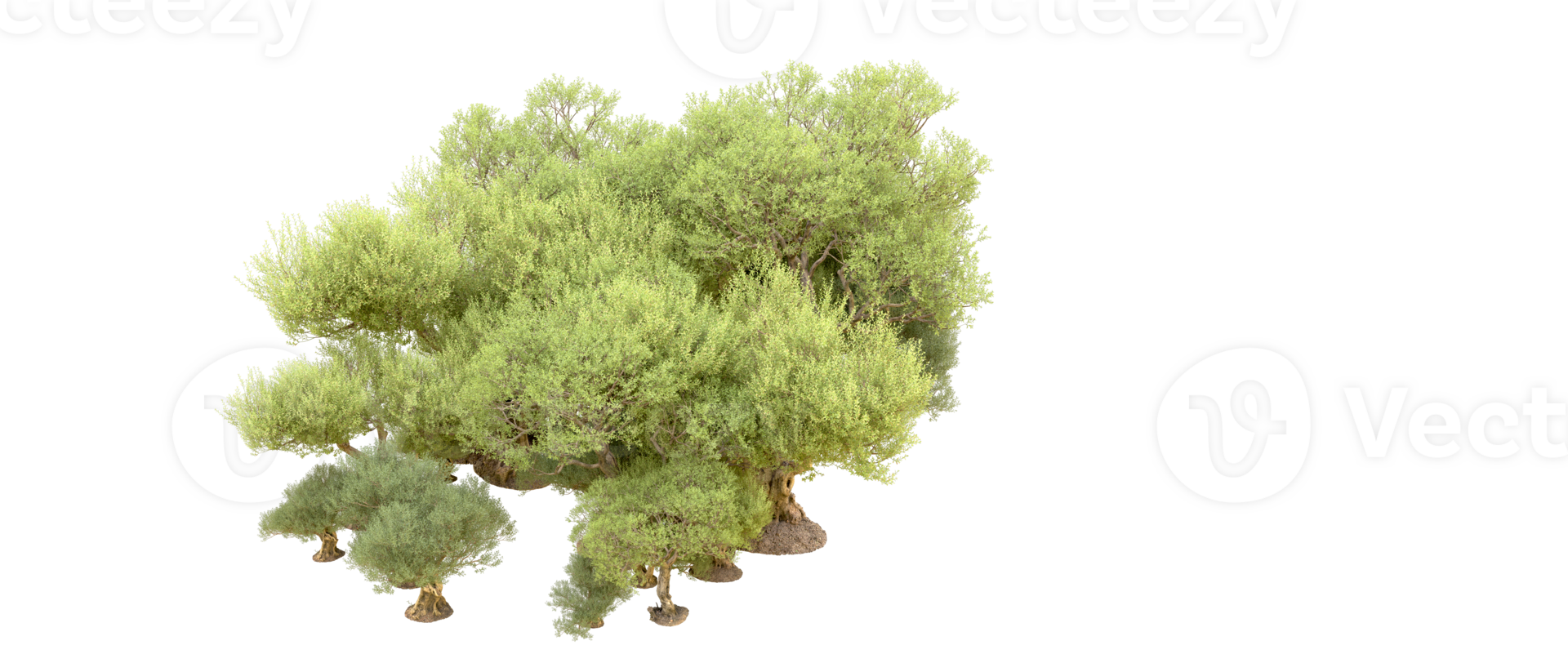 Green forest isolated on background. 3d rendering - illustration png