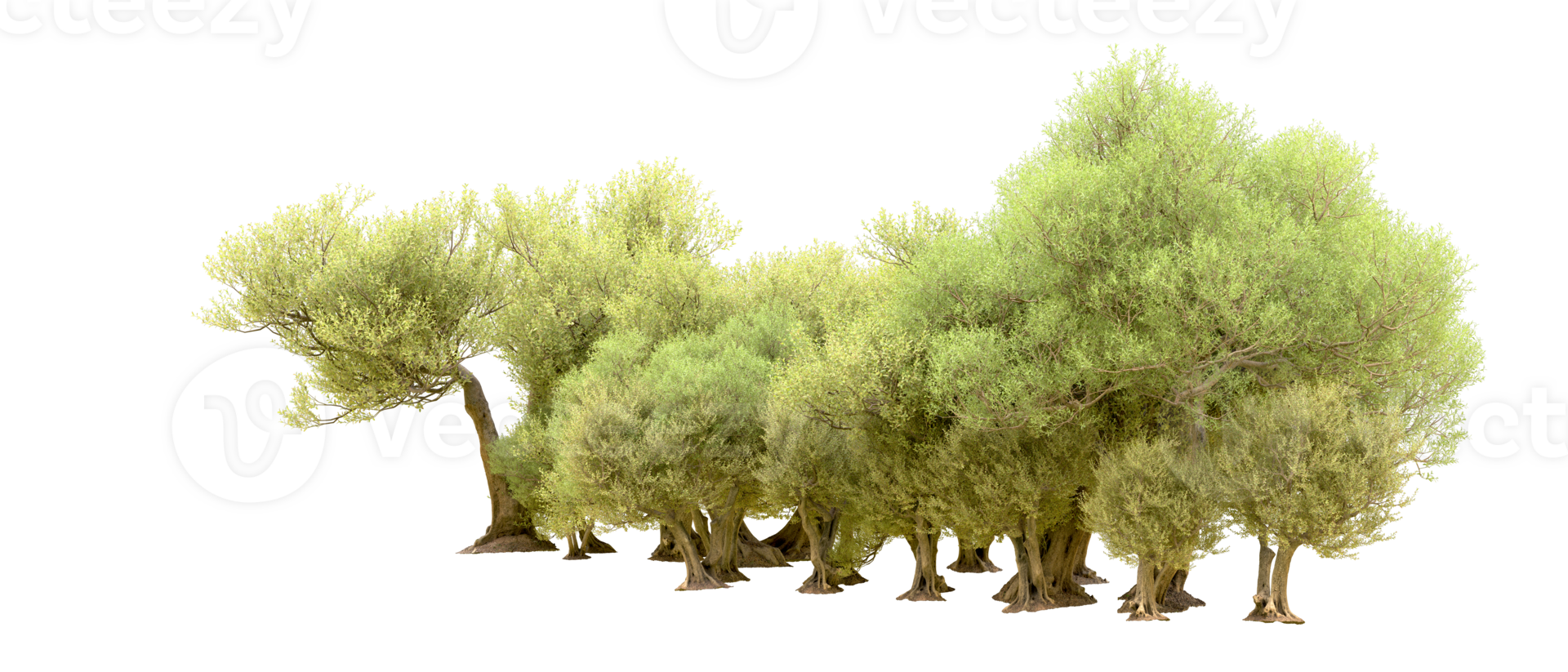 Green forest isolated on background. 3d rendering - illustration png