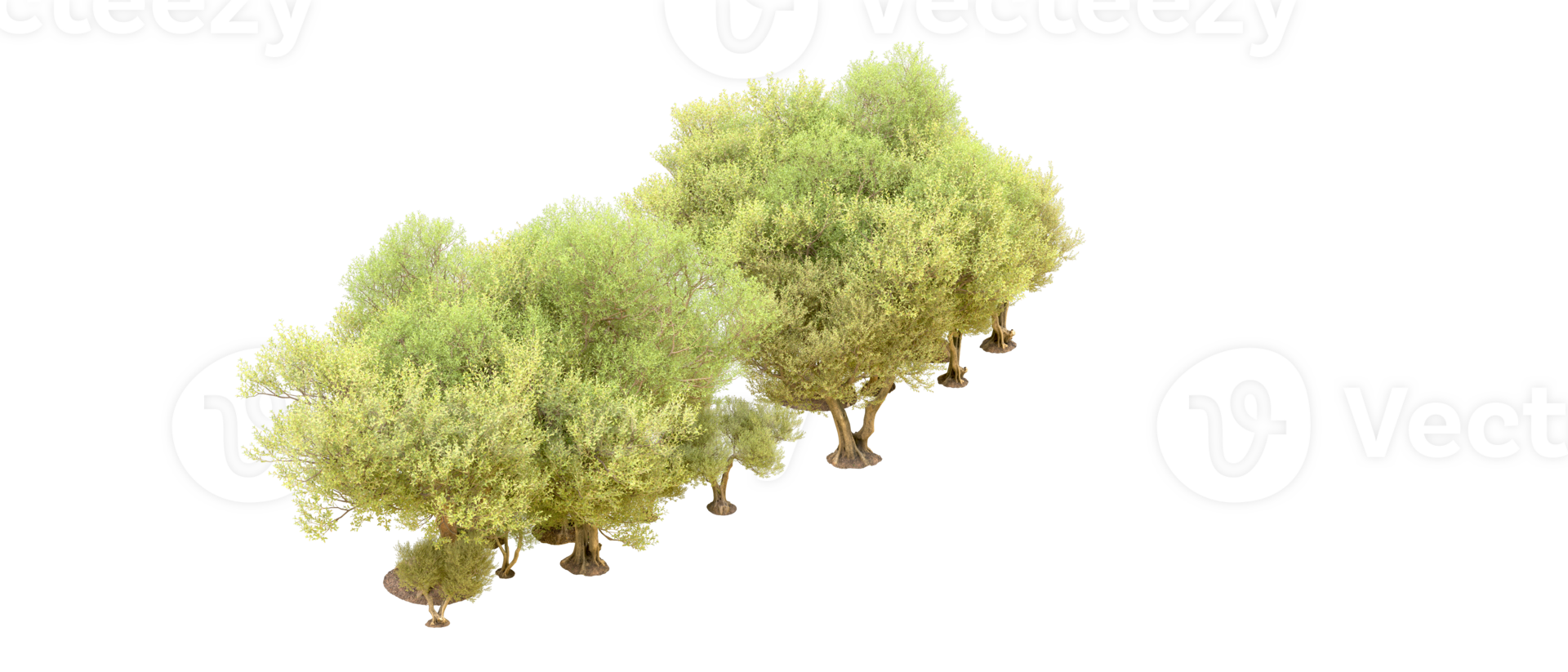 Green forest isolated on background. 3d rendering - illustration png