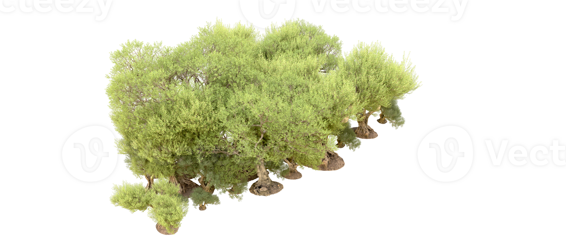 Green forest isolated on background. 3d rendering - illustration png