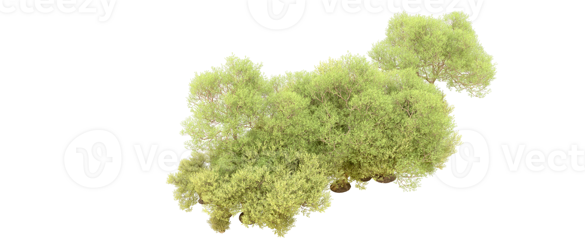 Green forest isolated on background. 3d rendering - illustration png