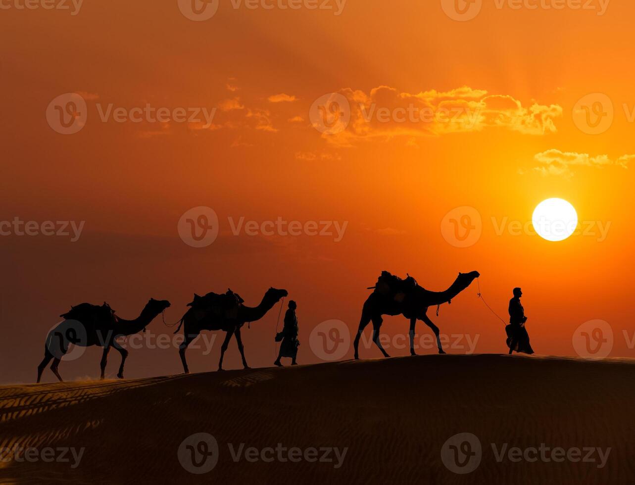 Two cameleers camel drivers with camels in dunes of Thar desert photo