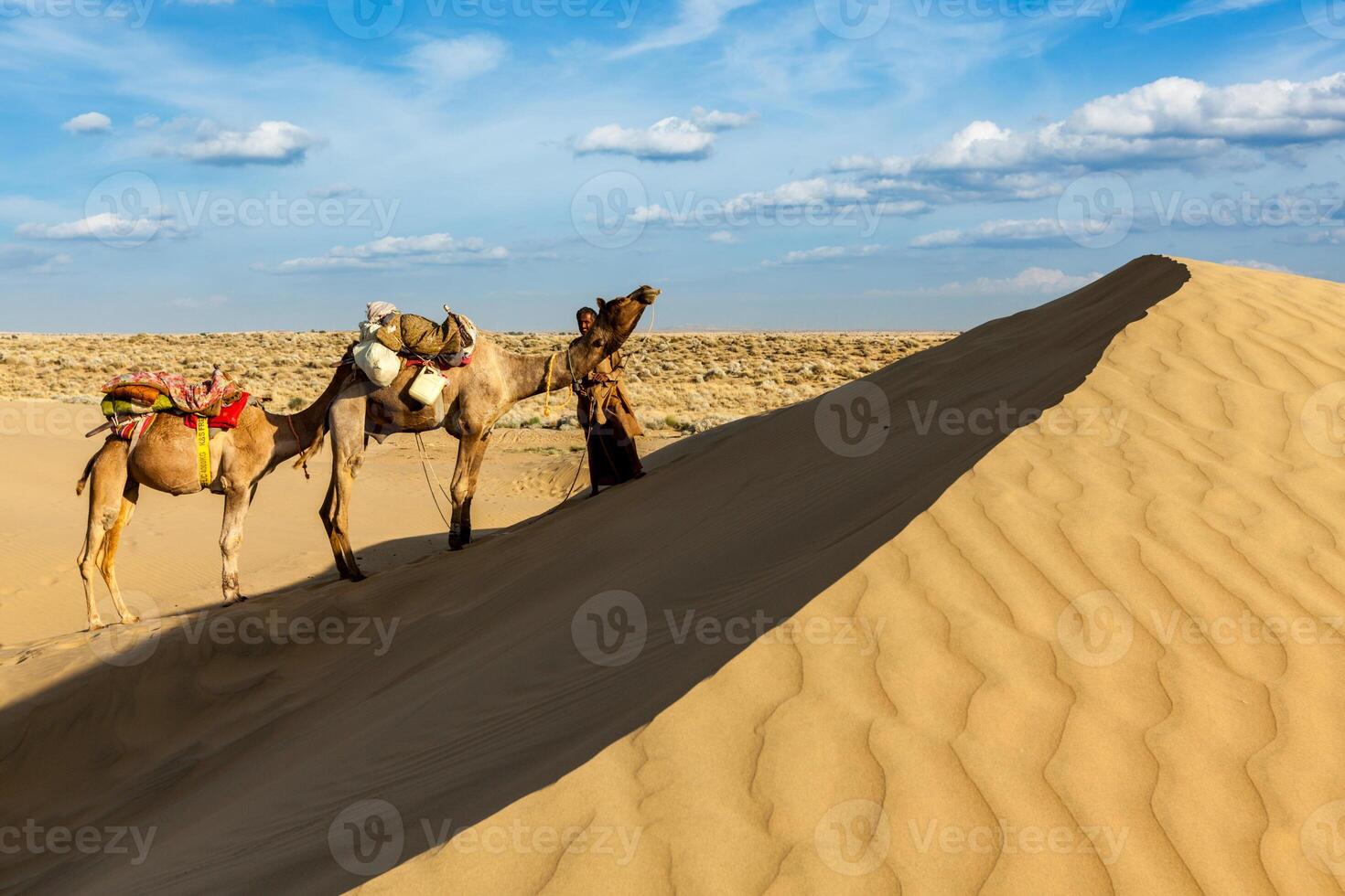 Cameleer camel driver with camels in dunes of Thar desert photo