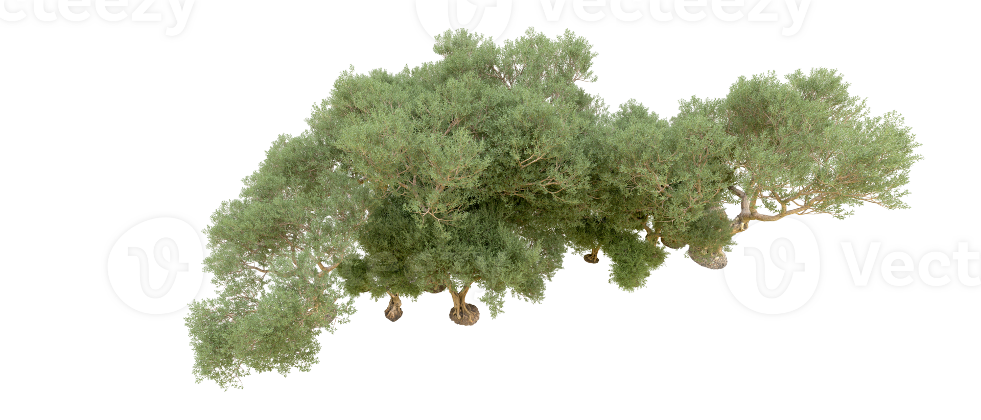 Green forest isolated on background. 3d rendering - illustration png