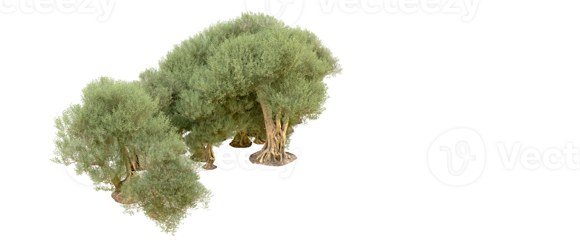 Green forest isolated on background. 3d rendering - illustration png