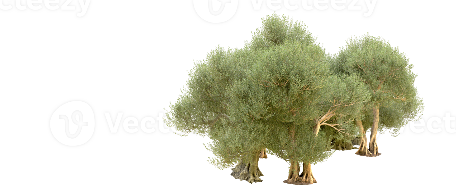 Green forest isolated on background. 3d rendering - illustration png