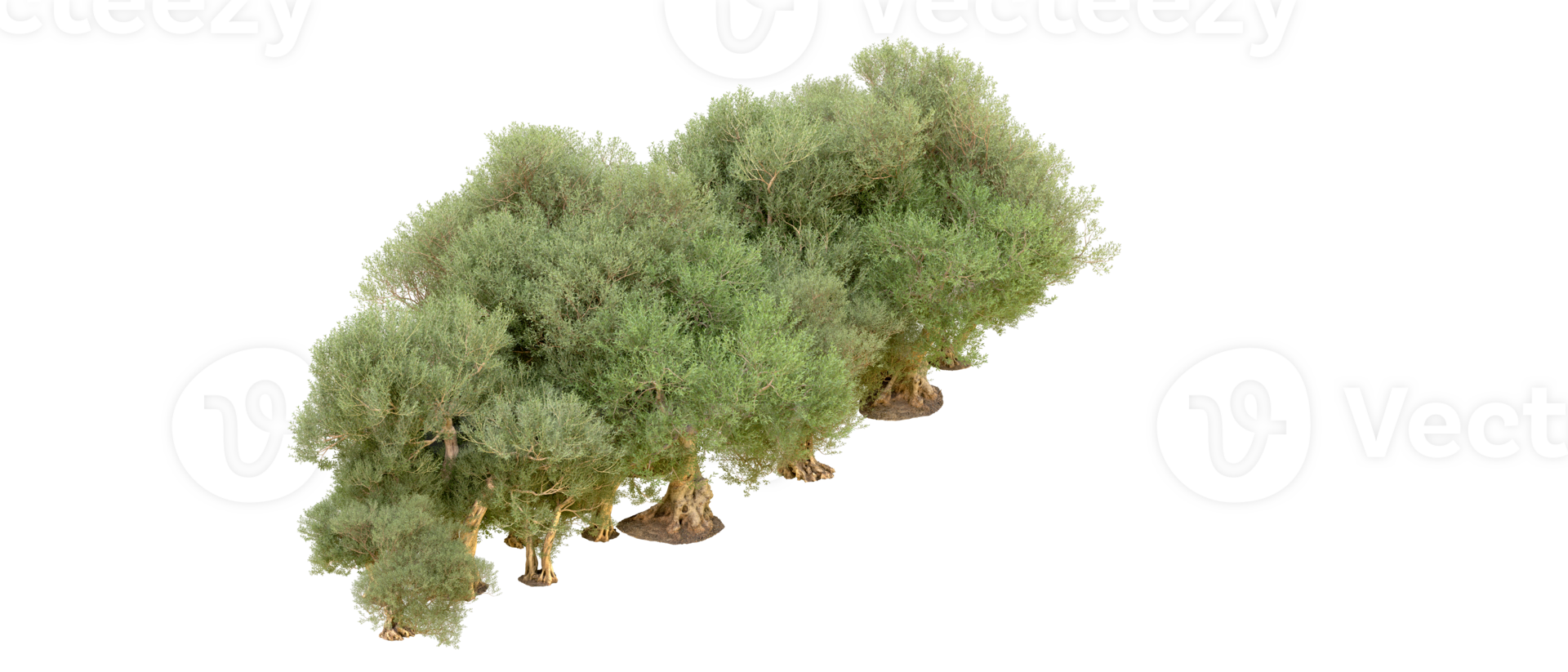 Green forest isolated on background. 3d rendering - illustration png