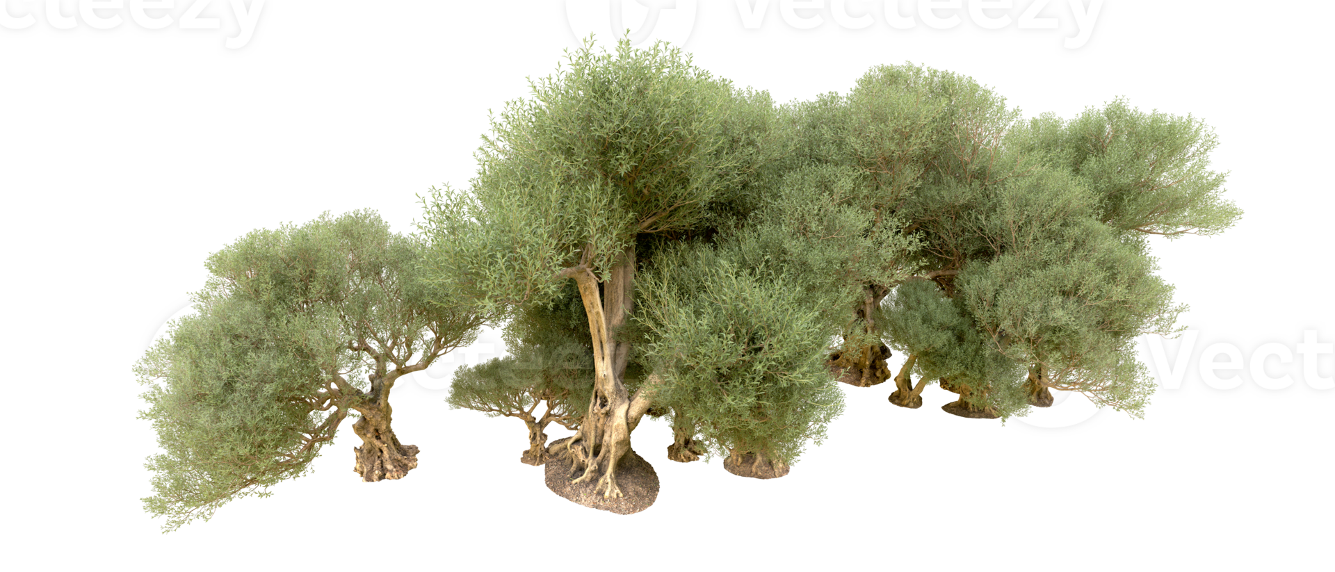 Green forest isolated on background. 3d rendering - illustration png