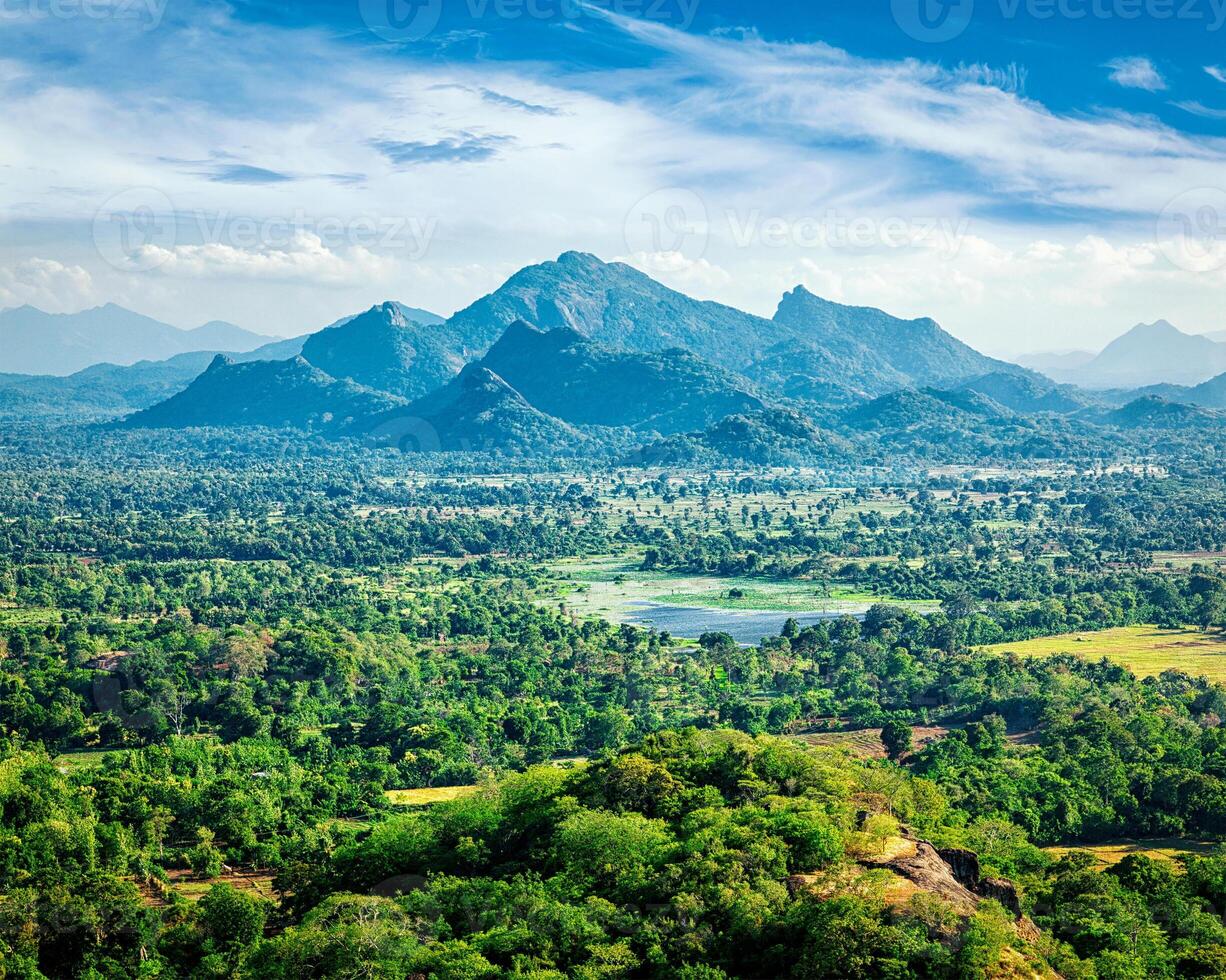 Sri Lankan landscape photo