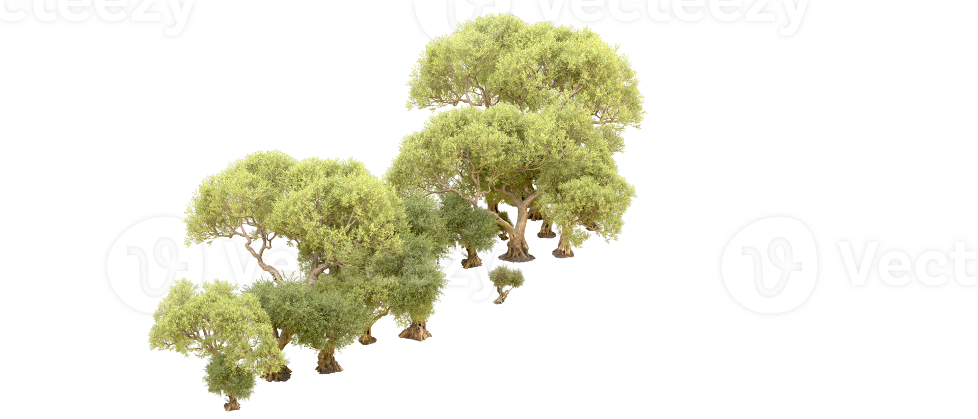 Green forest isolated on background. 3d rendering - illustration png