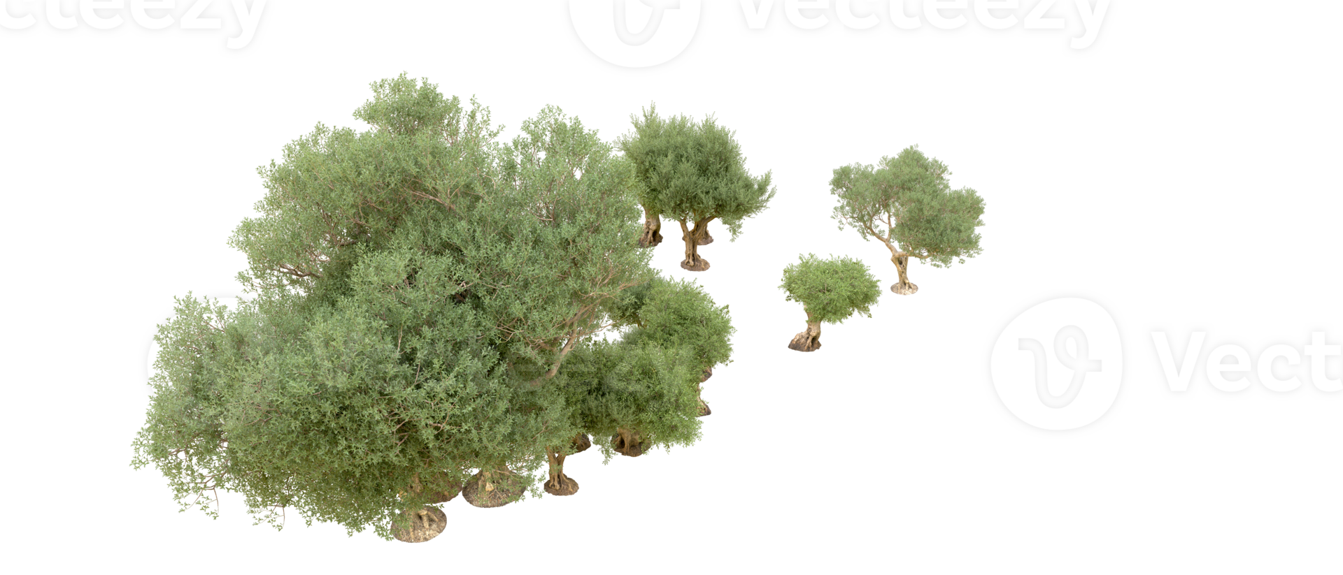 Green forest isolated on background. 3d rendering - illustration png
