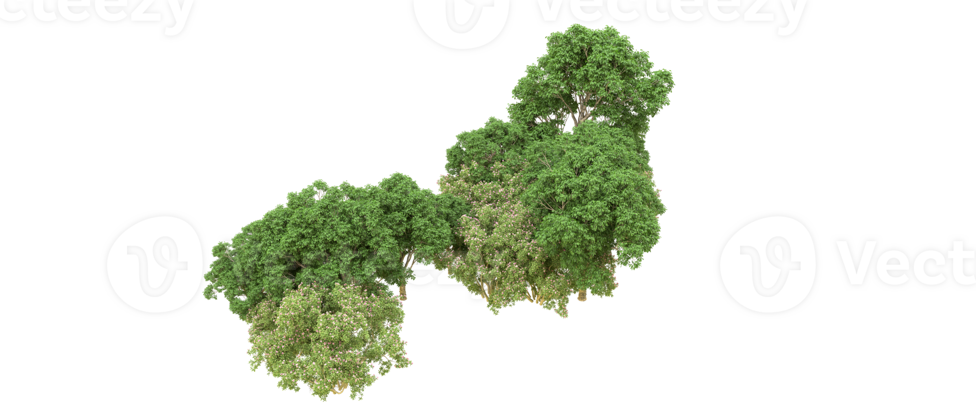 Green forest isolated on background. 3d rendering - illustration png