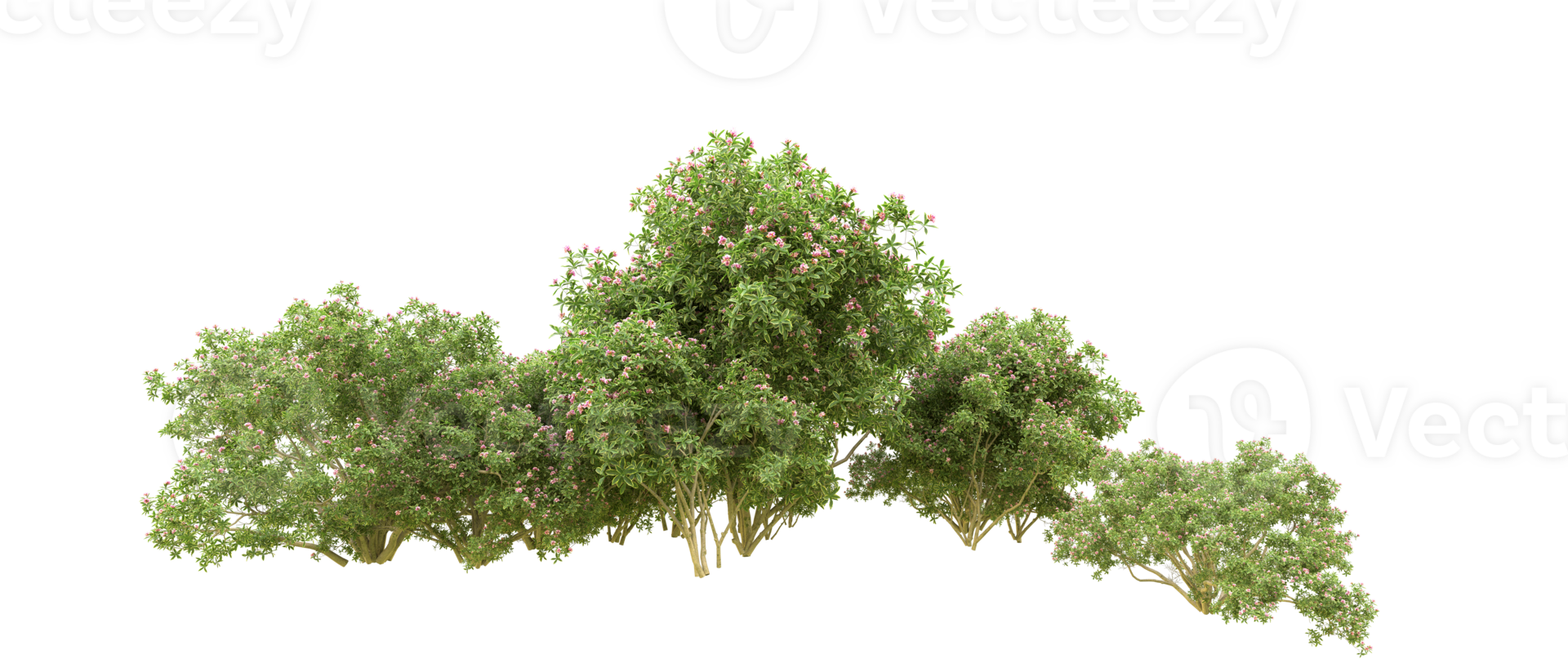 Green forest isolated on background. 3d rendering - illustration png