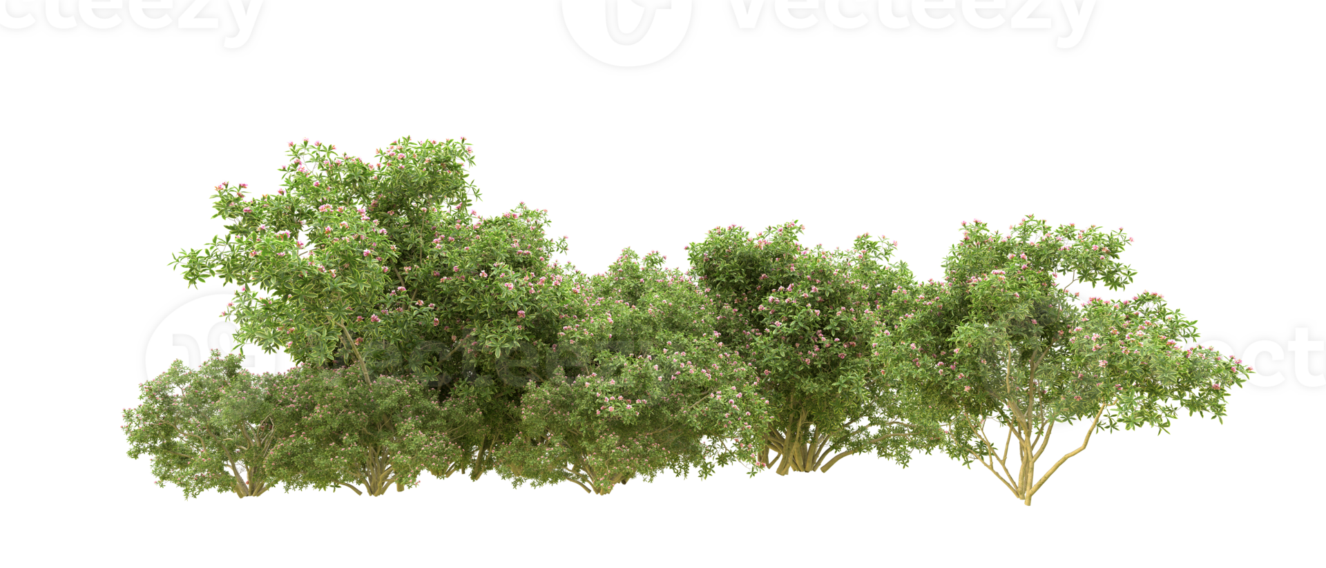 Green forest isolated on background. 3d rendering - illustration png