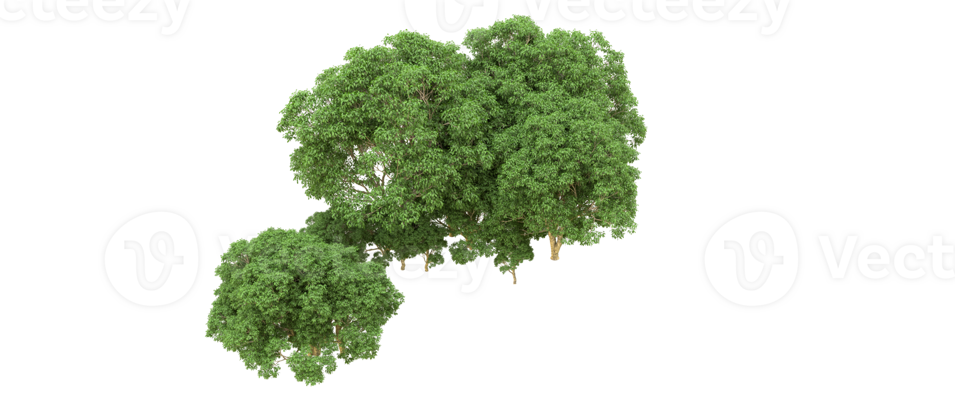 Green forest isolated on background. 3d rendering - illustration png