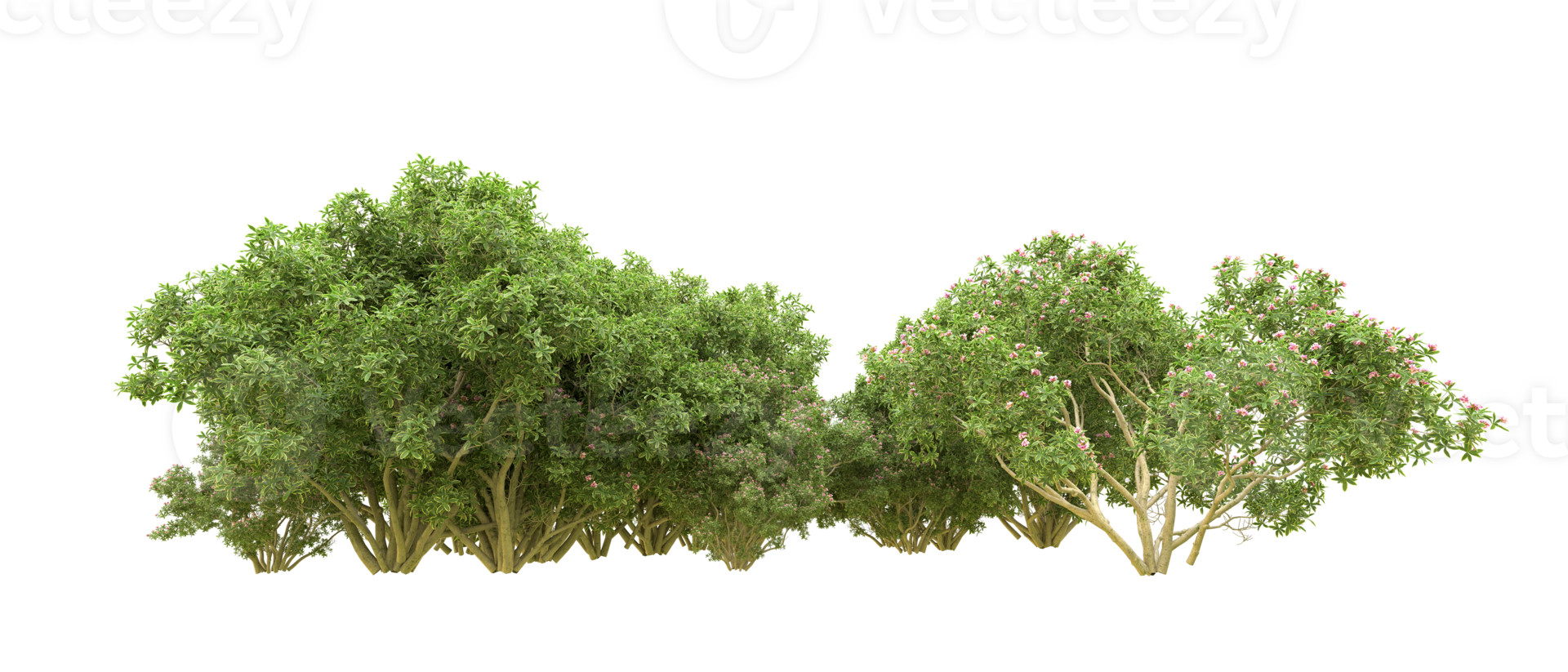 Green forest isolated on background. 3d rendering - illustration png