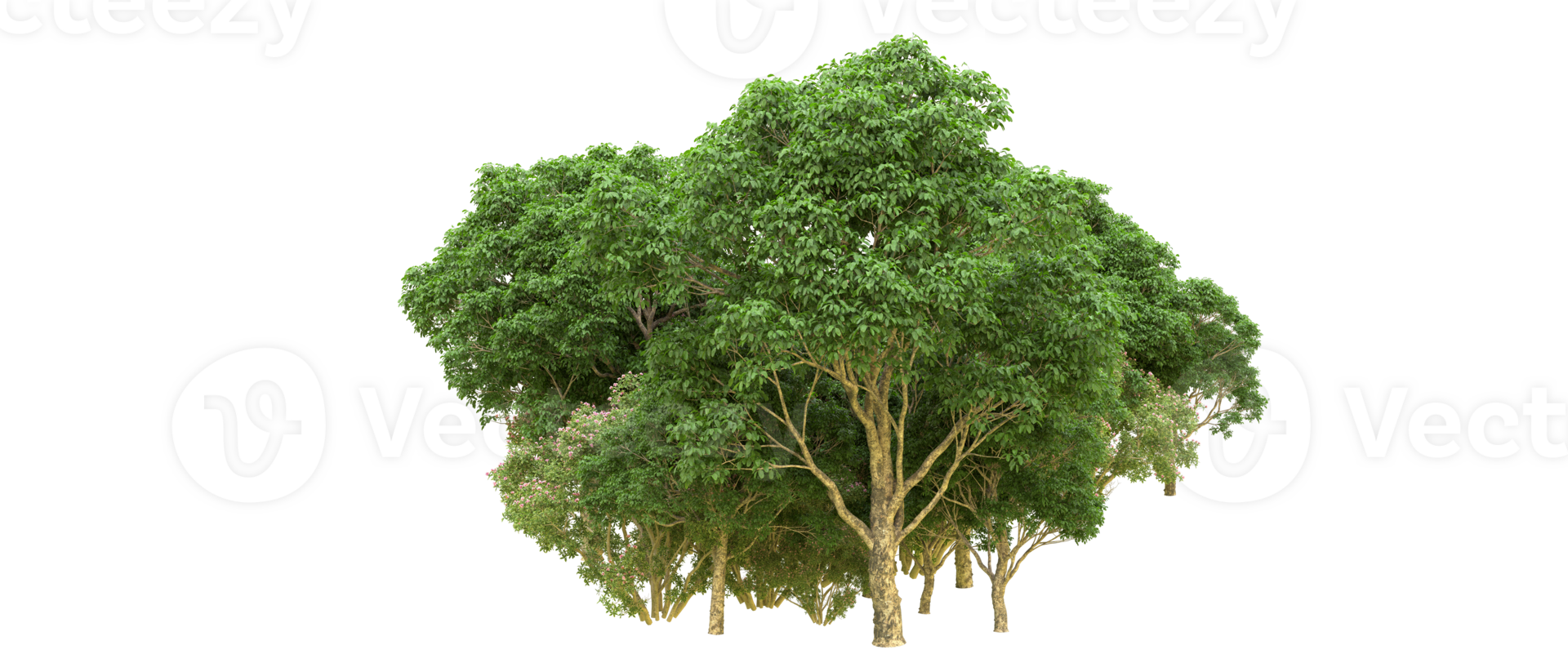 Green forest isolated on background. 3d rendering - illustration png