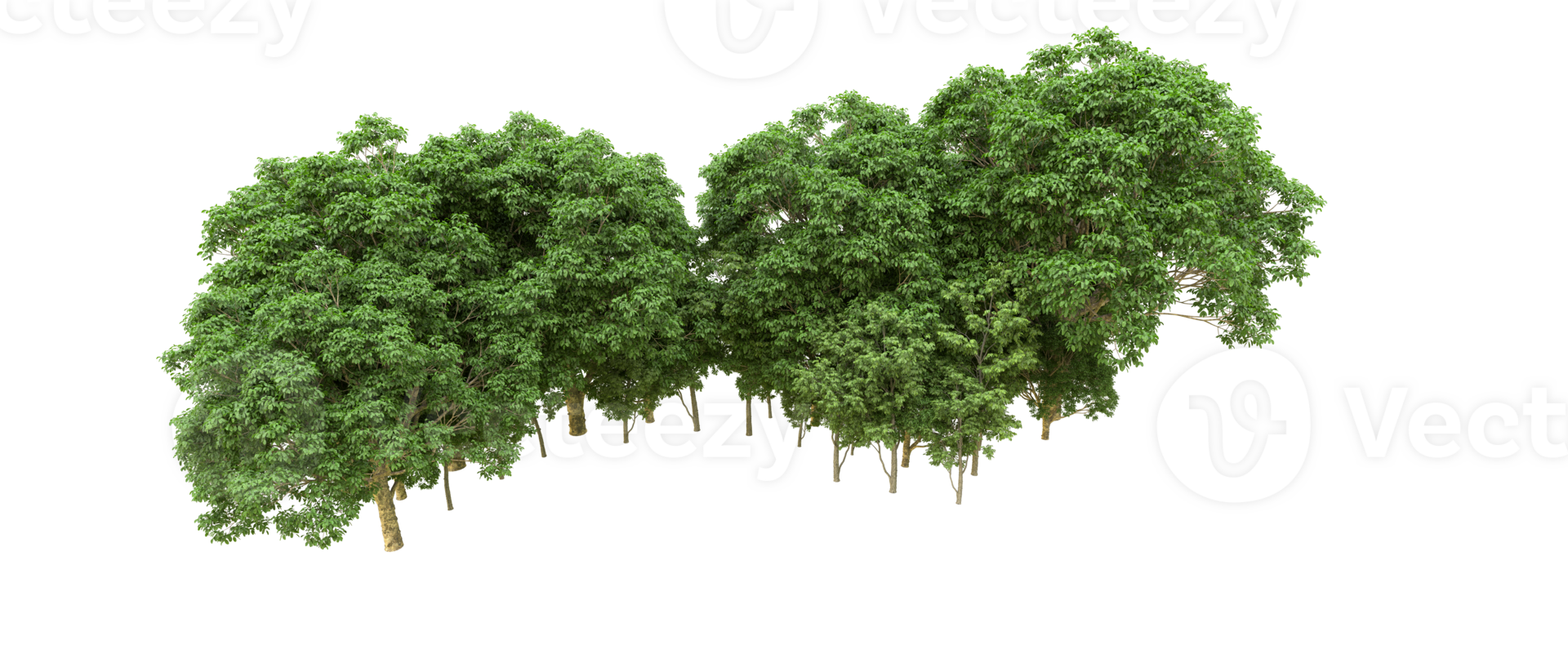 Green forest isolated on background. 3d rendering - illustration png